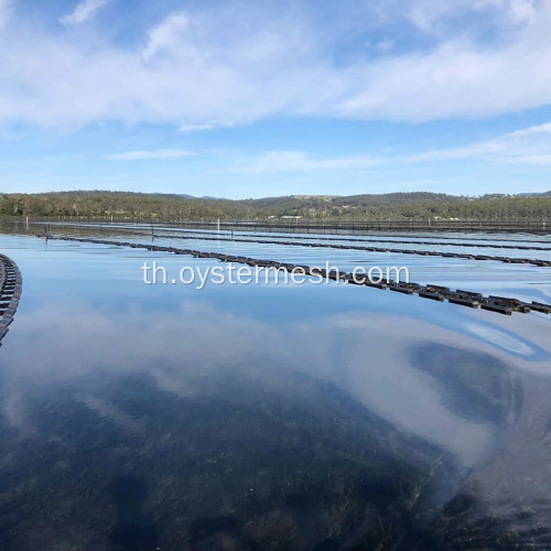 ถุงตาข่ายเพาะพันธุ์หอยนางรมขนาดสั่งทำพิเศษ